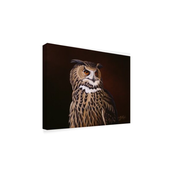 Wilhelm Goebel 'Eagle Owl' Canvas Art,18x24